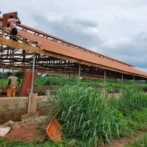 Set Up A 10,000 Capacity Pen House With Foreign Cages