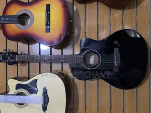 Cort Professional Acoustic Guitar