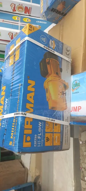 Fireman 1hp Surface Pump