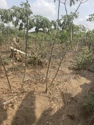 2plot Land 4sale at Jankata Akala Express