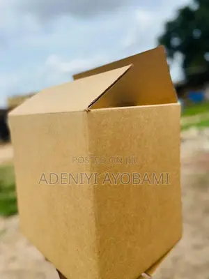 Carton Business