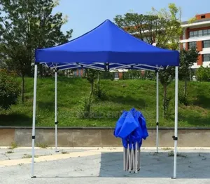 Beautiful 10 by 10 Tent