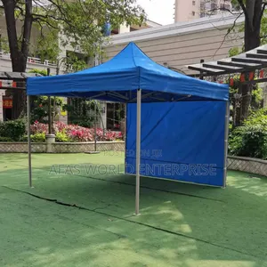 Occasional 10 by 10 Canopy