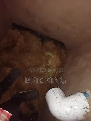 Biodigester System {Soakaway Tank}