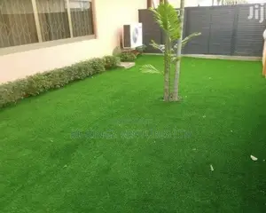 Top-Best Grass Carpet Rug for Sale / U Can Pay Wen Delivered