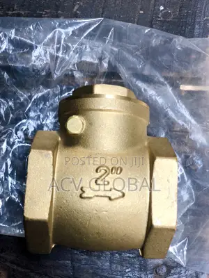 2” Brass Non Return Valve