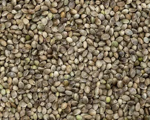 Hemp Seed 1kg