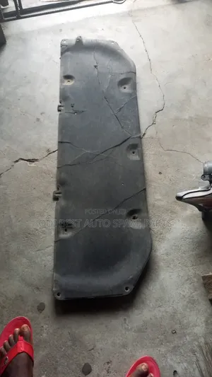 Lexus RX 350 Bonnet Mat 2014 Model