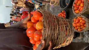 Tomato Cobra 26