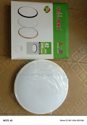 42w Ceiling White Frame