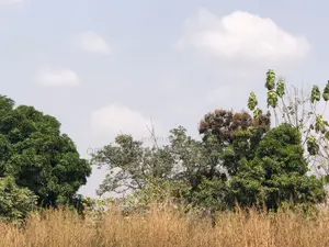 450sqm Hostel Land