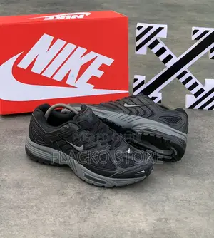Original Nike Air Pegasus 2k5 Black Sneakers