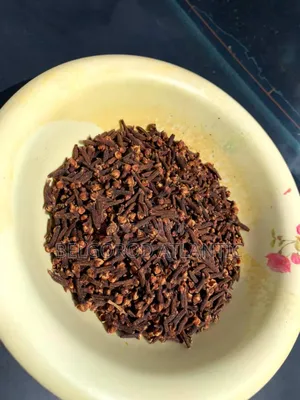 Cloves and Cinnamon Stick