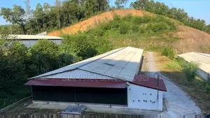 $3.5m Poultry And Farmland Available For Sale In Ogun State