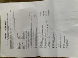 Driving Job