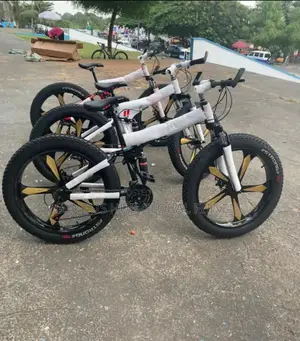 New Big Tyre Bicycle B61