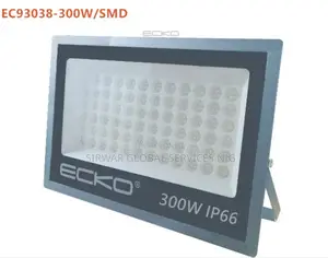300w Flood Light