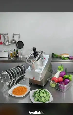 Commercial Vegetable Cutter