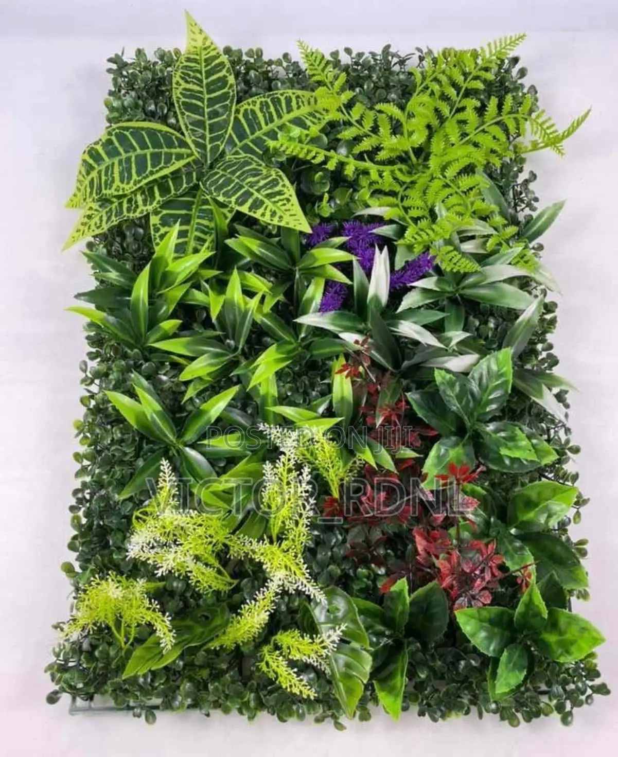 Flower Mat Plants