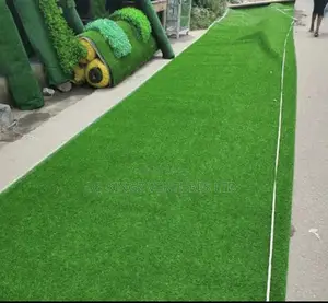 Amazing Grass Carpet Rug Topbest/ Pay on Delivery Permitted