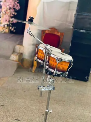Bongo Drum Set