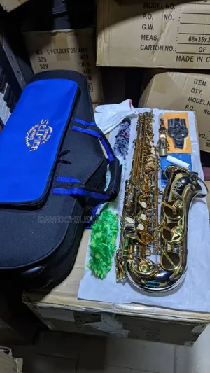 Selmer Gold Alto Saxophone