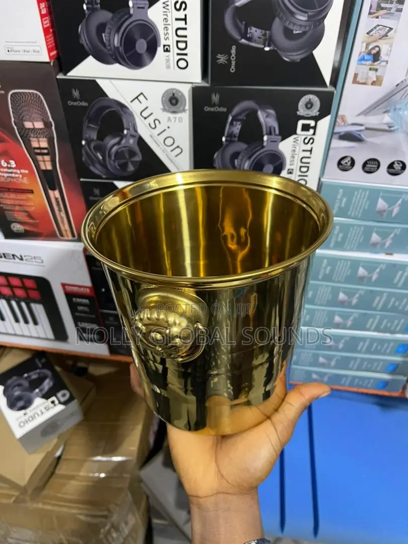 Ice Buckets (Big and Small)