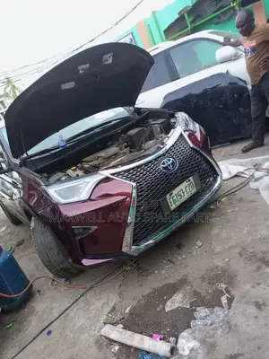 Toyota RAV4 Direct 2018 Bumper Upgrade to Lexus Face Vip