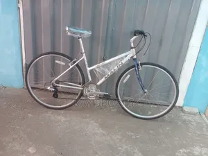 Marin Ladies Sport Bicycle