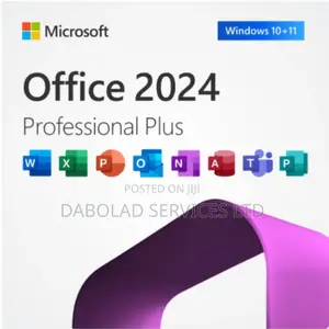 Microsoft Office 2024 Pro 100 User