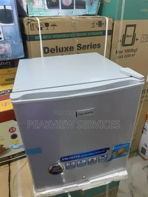 Best Deal 45L Polystar Bedside Refrigerator PV-BS81SL