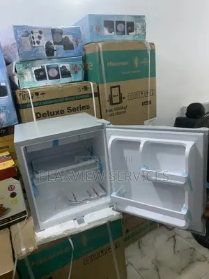 The Best Polystar 45L Bed Side Refrigerator Pv-Bs81sl