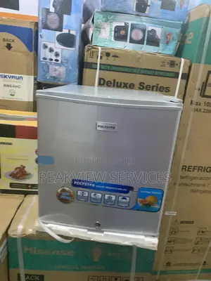 Adjustable Legs 45L Polystar Bedside Refrigerator PV-BS81SL!