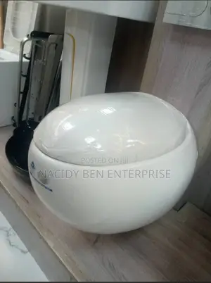 Egg Shaped Conceal Wc