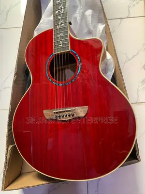 Quality Bullfighter Electro Acoustic Guitar