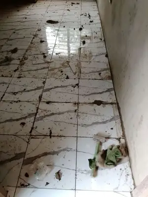 Professional Tiler