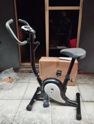 Magnetic Bike