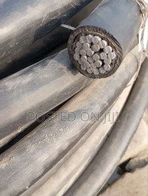 300mmx1core PVC/PVC Aluminium Cable