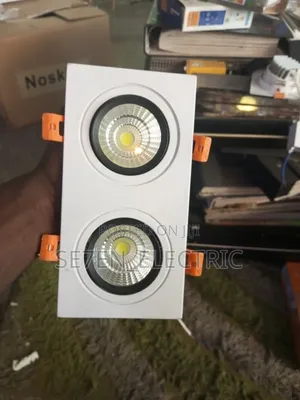 Downlight 2in1 Led Spotlight