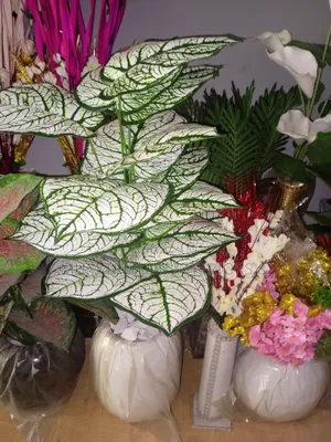 Artificial Flowers