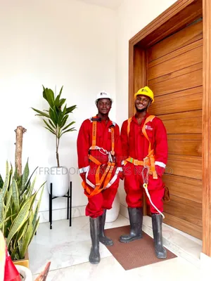 Professional Home Cleaners Available 24/7