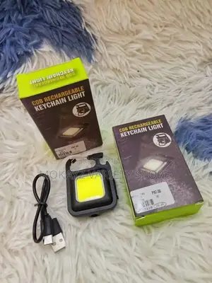 Key Chain Led Light Rechargeble(Bulk)