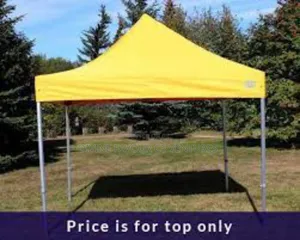 10 X 10 Foldable Canopy/ Gazebo for Outdoor Events