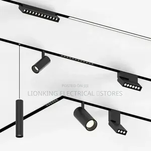Magnetic Track Light