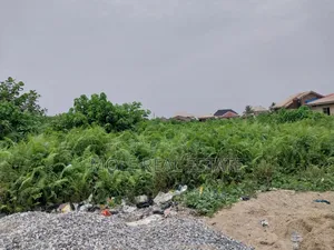 Full Plot 50ft by 100ft Ijegun Last Bustop