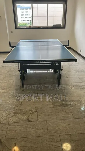 Heavy Duty Foldable Joola Outdoor Tennis Board