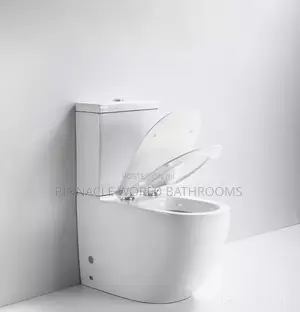 Executive White Wc Set With Basin Water Closet