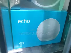 Amazon Google Echo
