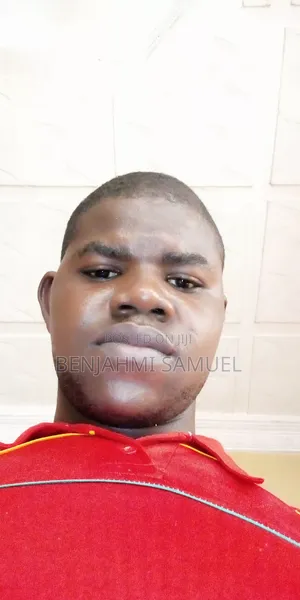 I Clean Your House and Office, Wash Your Cars