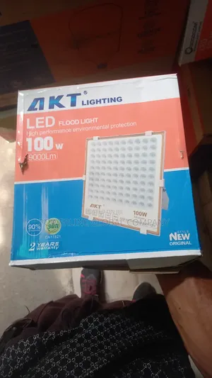 100w Electric Flood Light for Homes/ Hotels/ Companies